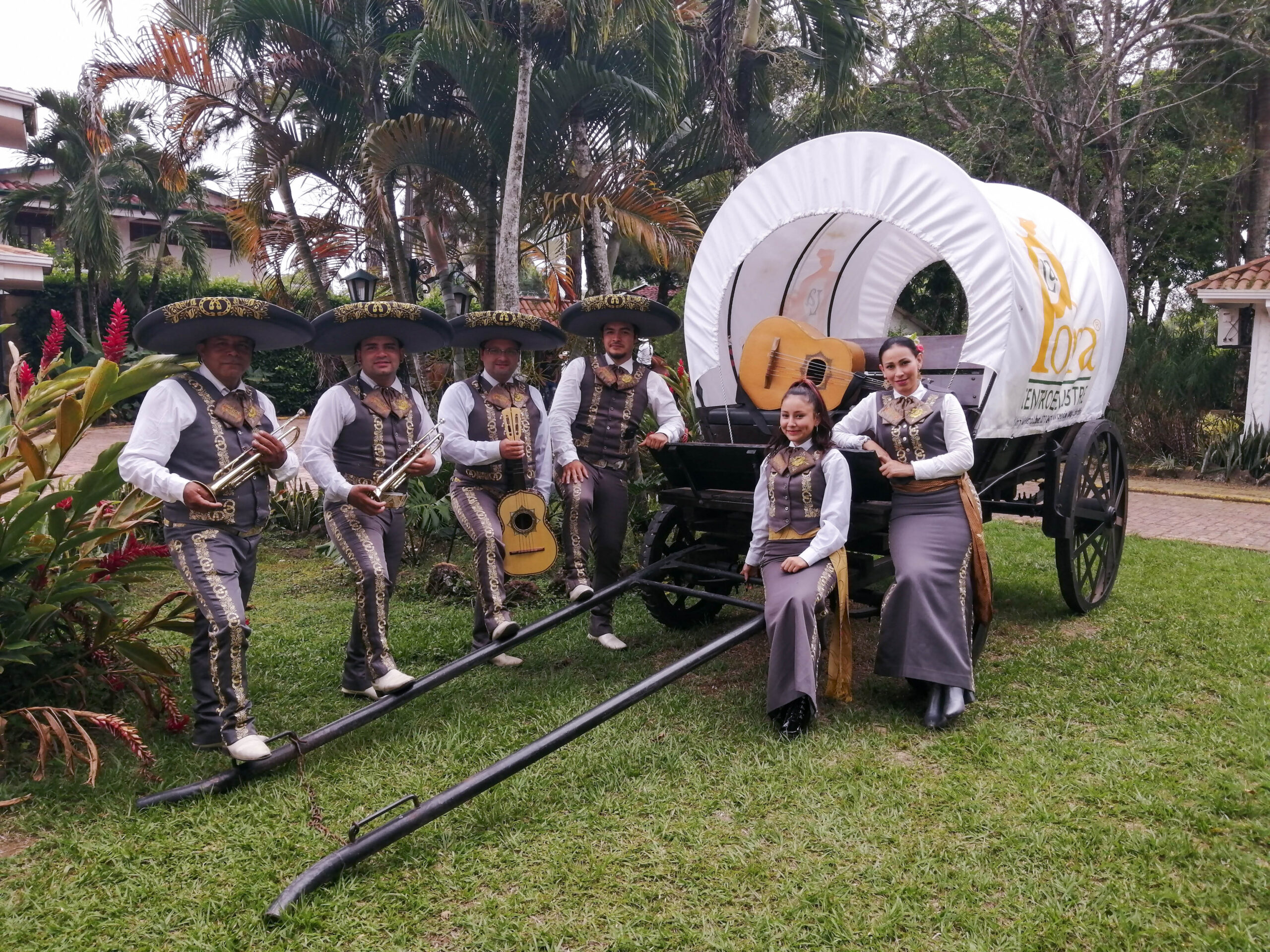 Mariachis Villavicencio - Mariachi Bellas Artes Villavicencio 3133300250