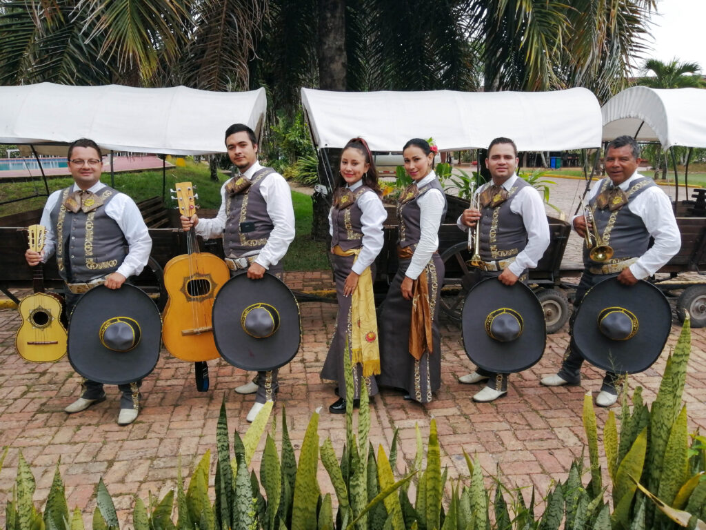 Mariachis Villavicencio - Mariachi Bellas Artes Villavicencio 3133300250